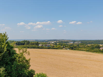 Picture 33
